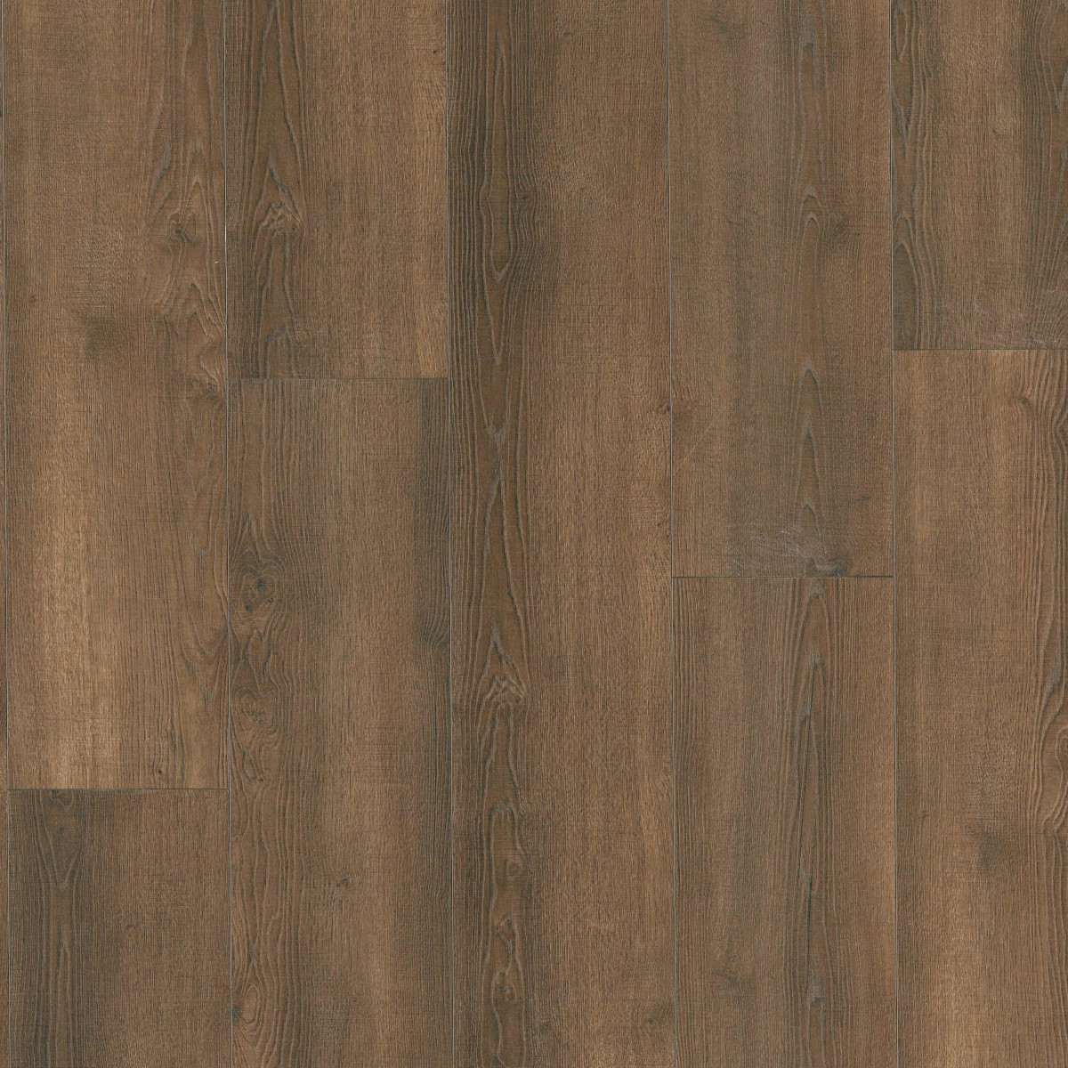 MSI Everlife Shorecliffs Roghan | OnFlooring