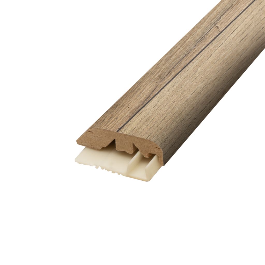 MINC5_06657_trim.jpeg