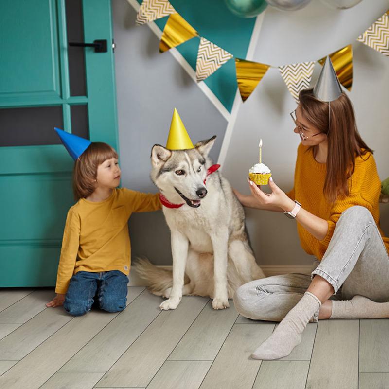 MSI Everlife Smithcliffs Driftway | OnFlooring