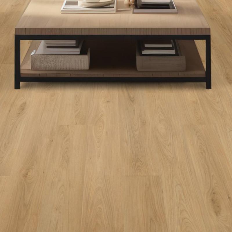 もぐ！ Mohawk SolidTech Plus Barker Hollow Daisy | OnFlooring